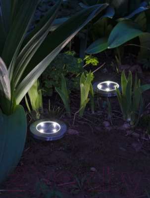 Светильник уличный ArtStyle CL-S14CХ2