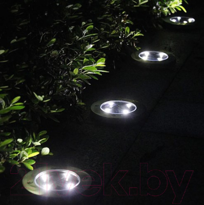 Светильник уличный ArtStyle CL-S14CХ2