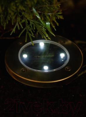 Светильник уличный ArtStyle CL-S14CХ2