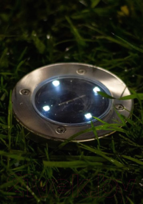 Светильник уличный ArtStyle CL-S14CХ2