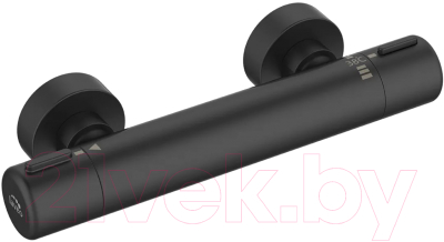 Смеситель Laveo Pretto BAO74TD - фото