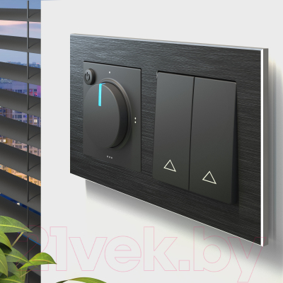 Рамка для выключателей и розеток Werkel W0021708 / a050962