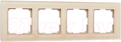 Рамка для выключателей и розеток Werkel W0041111 / a050794 - фото