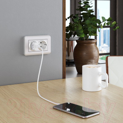 Рамка для выключателей и розеток Werkel W0082113 / a051281