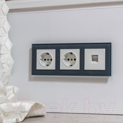 Розетка Werkel W1171101 / a051139