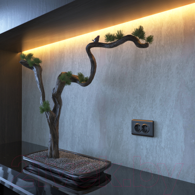 Розетка Werkel W1172004 / a050745