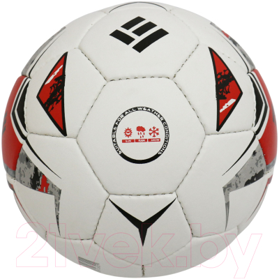 Футбольный мяч Ingame Sturm 2020