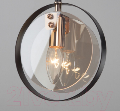 Потолочный светильник Евросвет 50121/1 (черный)