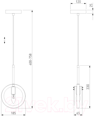 Потолочный светильник Евросвет 50121/1 (черный)