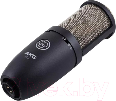 Микрофон AKG P220