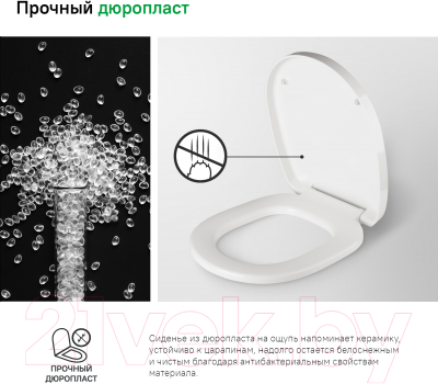 Сиденье для унитаза IDDIS CALDPSEi31