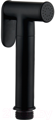 Лейка гигиенического душа IDDIS Bidet 020BBLGi20 - фото