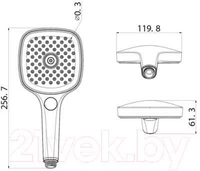 Лейка ручного душа Iddis Slide SLI3F0Bi18