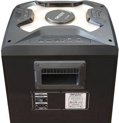 Портативная колонка Ginzzu GM-203