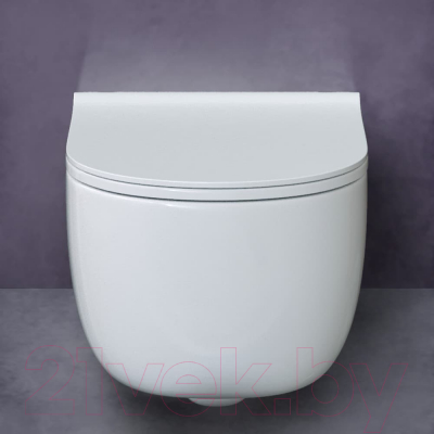 Унитаз подвесной Berges Ego XL 54 / 082018