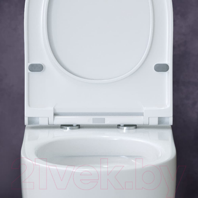 Унитаз подвесной Berges Ego XL 54 / 082018