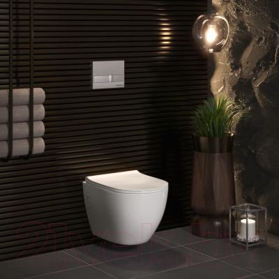 Унитаз подвесной Berges Okus 48 / 082027