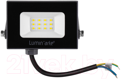 Прожектор LuminArte LFL-10W/05 - фото
