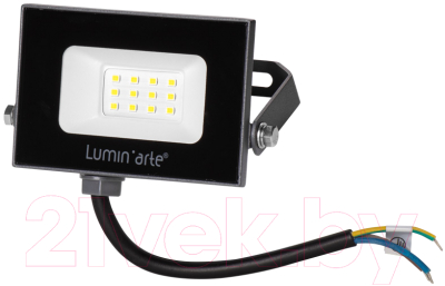 Прожектор LuminArte LFL-10W/05