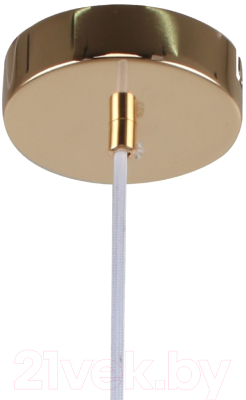 Потолочный светильник F-Promo Sheen F-Promo 2758-1P