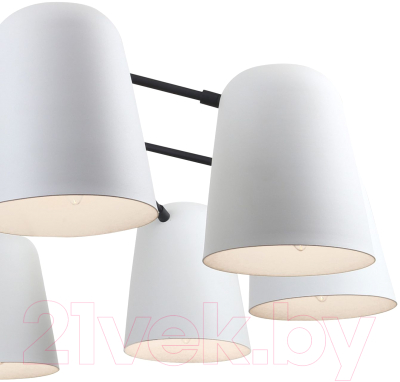 Люстра FAVOURITE Trick F-Promo 2762-10P