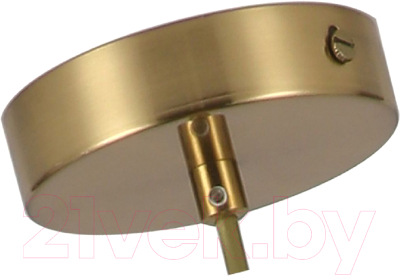 Потолочный светильник FAVOURITE Oportet F-Promo 2788-1P