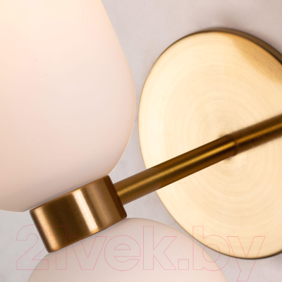 Бра FAVOURITE Amusing 2876-1W