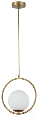 Потолочный светильник FAVOURITE Oportet F-Promo 2786-1P - фото