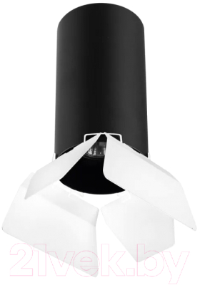 Точечный светильник Lightstar Rullo R6487486 - фото