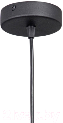 Потолочный светильник Vitaluce V4970-1/1S