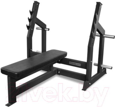 Скамья для жима штанги Bronze Gym AL-304 - фото