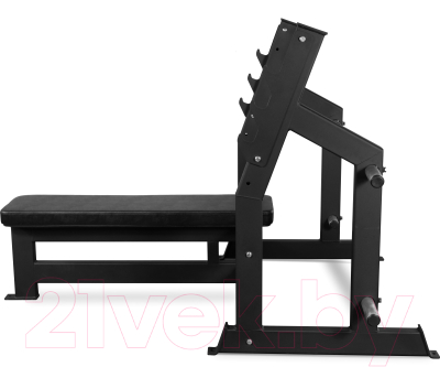 Скамья для жима штанги Bronze Gym AL-304