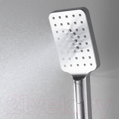 Лейка ручного душа Wasserkraft A126