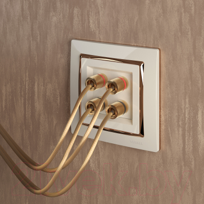 Рамка для выключателей и розеток Werkel W0011932 / a051656