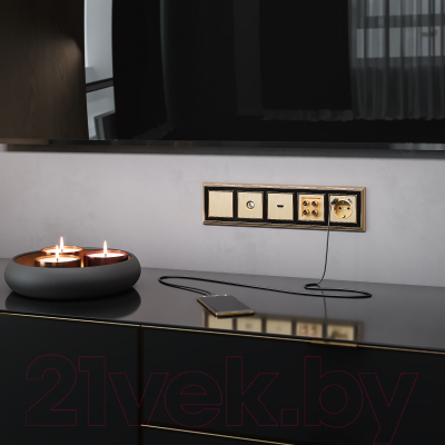 Декоративная заглушка для розетки Werkel W1159210 / a051417