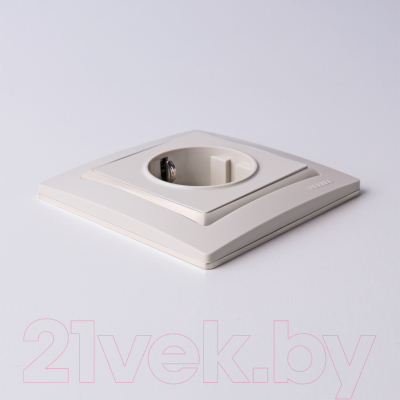 Розетка Werkel W1171003 / a051490