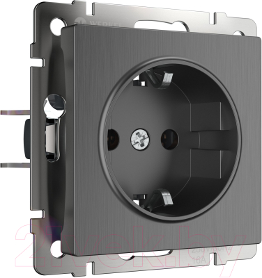Розетка Werkel W1171004 / a050761 - фото