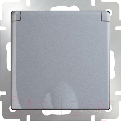 Розетка Werkel W1171206 / a051504