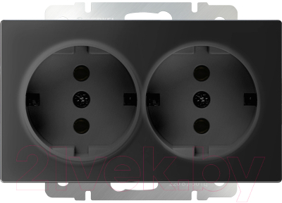 Розетка Werkel W1172008 / a051623