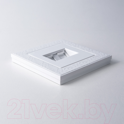 Розетка Werkel W1181101 / a051115