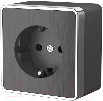 Розетка Werkel Gallant W5071004 / a051339 - фото