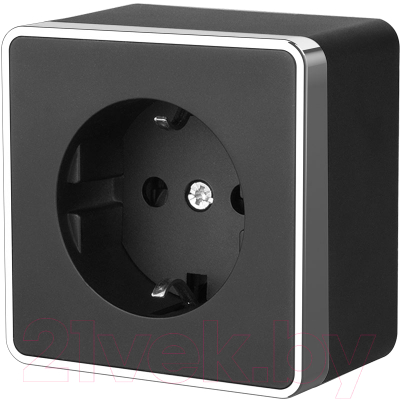 Розетка Werkel Gallant W5071035 / a050973 - фото