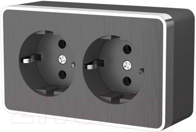 Розетка Werkel Gallant W5072104 / a051342 - фото