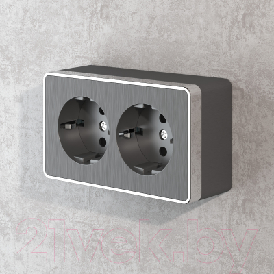 Розетка Werkel Gallant W5072104 / a051342