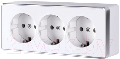 Розетка Werkel Gallant W5073101 / a051594 - фото