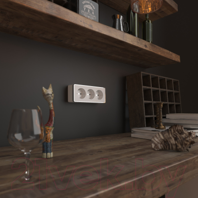 Розетка Werkel Gallant W5073101 / a051594