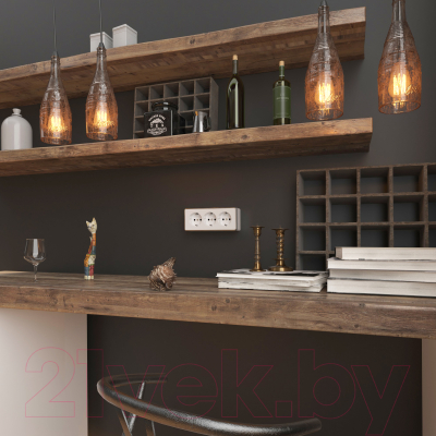 Розетка Werkel Gallant W5073101 / a051594