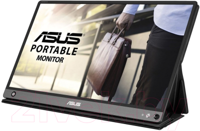 Монитор Asus Portable MB16AHP