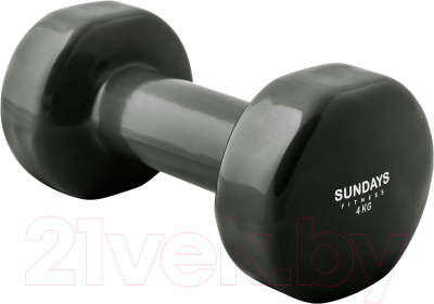 Гантель Sundays Fitness LKDB-504A