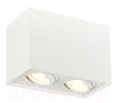 Потолочный светильник ST Luce Quadrus ST109.507.02 - фото